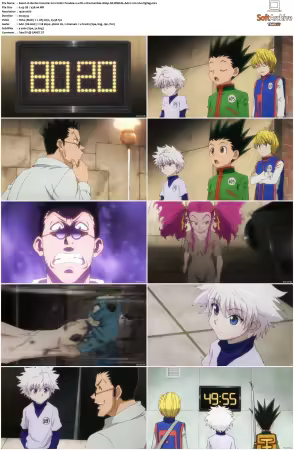 Hunter x Hunter 2011 S01-S06 1080p NF WEB-DL AAC2.0 H264-ZigZag