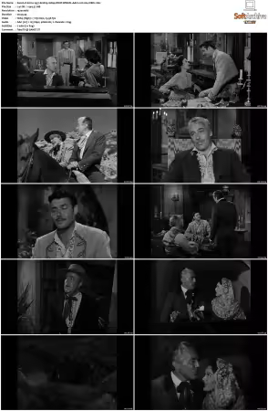 Zorro 1957 S01-S02 1080p DSNP WEB-DL AAC2.0 H264-XiBiU