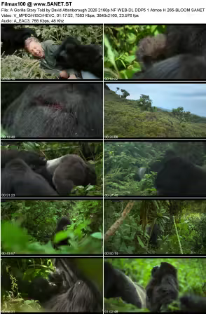 A Gorilla Story Told by David Attenborough 2026 2160p NF WEB-DL DDP5.1 Atmos H265-BLOOM