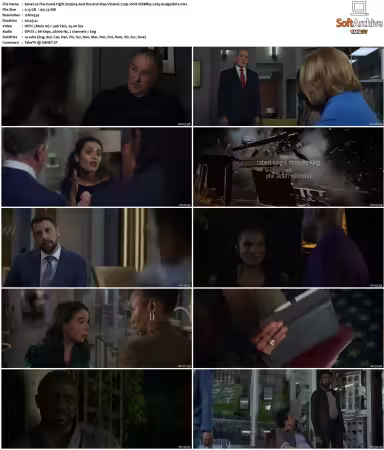 The Good Fight S01-S06 720p 10bit WEBRip x265-budgetbits