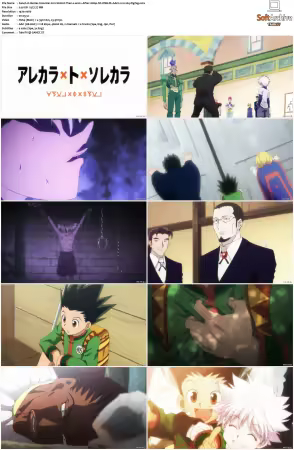 Hunter x Hunter 2011 S01-S06 1080p NF WEB-DL AAC2.0 H264-ZigZag