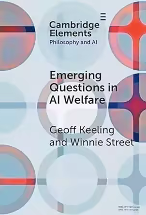 Emerging Questions in AI Welfare