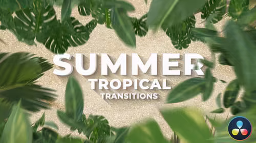 EE - Tropical Palm Leaf Transitions for Summer and Travel Videos -
