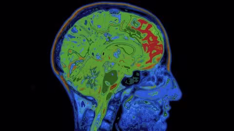 Pediatric Neurosurgery:First Steps &amp; Core Concepts