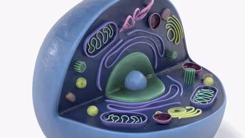 Cell Biology And Its Organelle