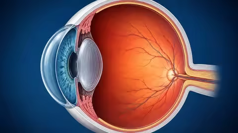 Ophthalmology Basics