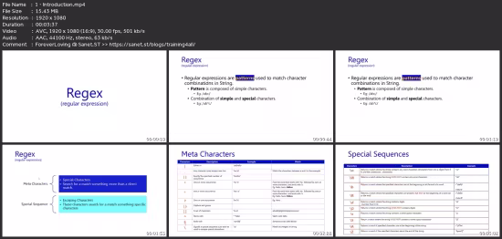 Regular Expression With Python