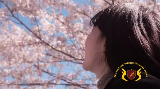 Travel Japanese In Just 7 Days