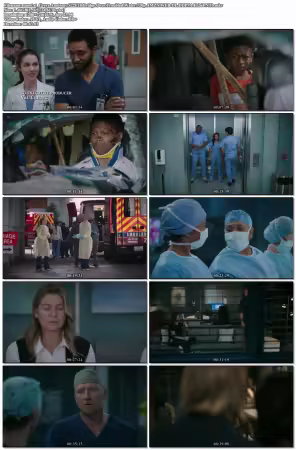 Greys Anatomy S22E18 Bridge Over Troubled Water 720p AMZN WEB-DL DDP5 1 H 264-NTb