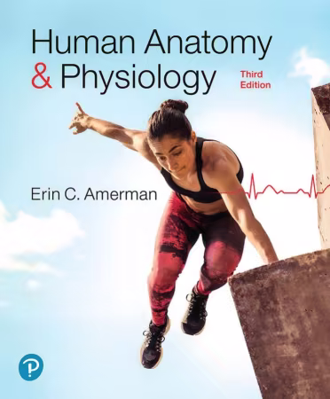 Human Anatomy &amp; Physiology, 3rd Edition