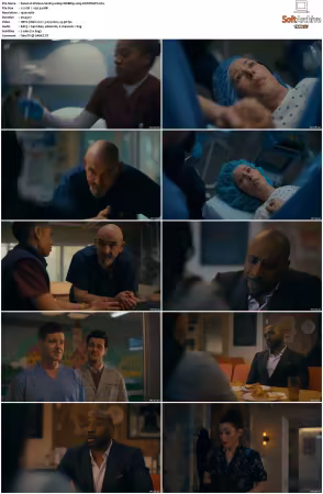 Watson S02 1080p WEBRip x265-KONTRAST
