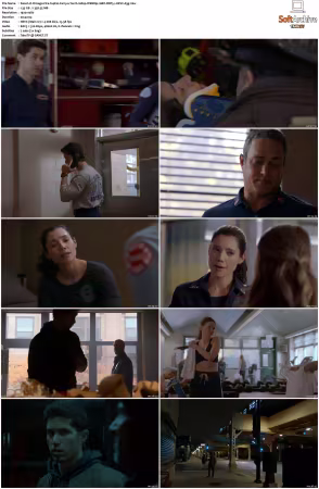 Chicago Fire S14 1080p WEBRip 10Bit DDP5.1 HEVC-d3g