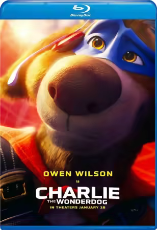 Charlie the Wonderdog 2025 720p BluRay x264-KNiVES