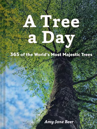 A Tree a Day (US Edition)