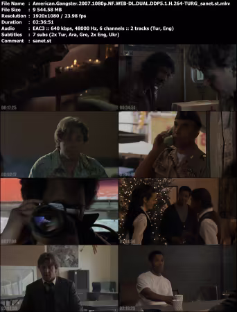 American Gangster 2007 1080p NF WEB-DL DUAL DDP5.1 H264-TURG