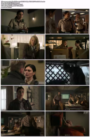 Sheriff Country S01E19 1080p WEB HEVC x265-Blade