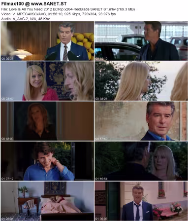 Love Is All You Need 2012 BDRip x264-RedBlade