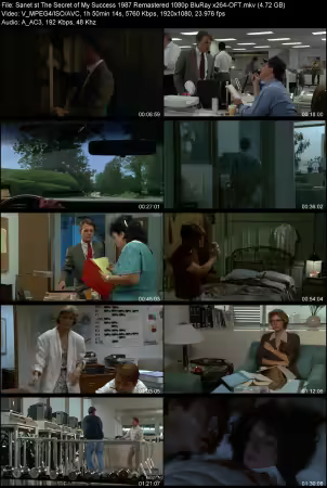 The Secret of My Success 1987 Remastered 1080p BluRay x264-OFT