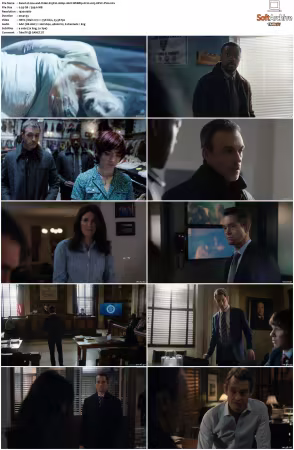 Law and Order S25 1080p 10bit WEBRip 6CH x265 HEVC-PSA