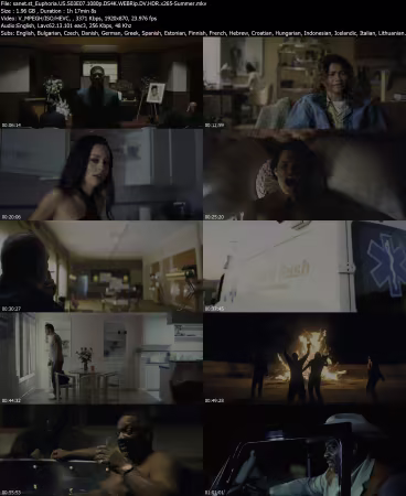 Euphoria US S03E07 1080p DS4K WEBRip DV HDR x265-Summer