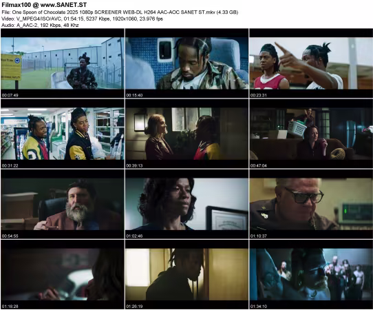 One Spoon of Chocolate 2025 1080p SCREENER WEB-DL H264 AAC-AOC