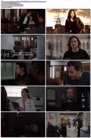 Law And Order SVU S27E21 1080p AV1 10bit-MeGusta
