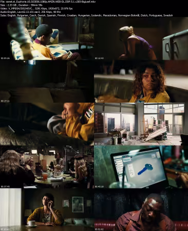 Euphoria US S03E06 1080p AMZN WEB-DL DDP 5 1 x265-BigLeaf