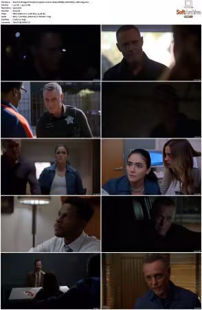 Chicago P D S13 1080p WEBRip 10Bit DDP5.1 HEVC-d3g