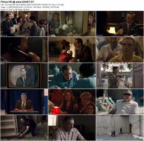 The Irishman 2019 BDRip x264-TOOSHORT