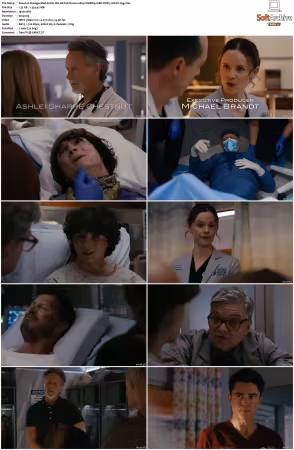 Chicago Med S11 1080p WEBRip 10Bit DDP5.1 HEVC-d3g