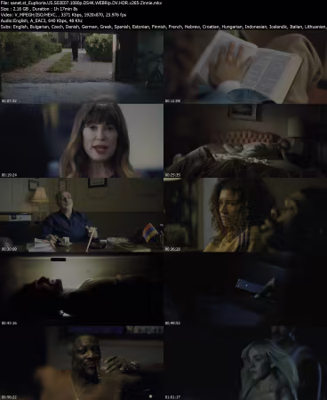 Euphoria US S03E07 1080p DS4K WEBRip DV HDR x265-Zinnie