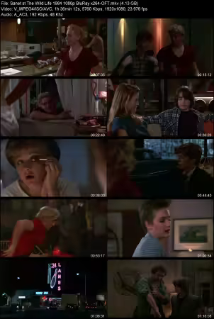 The Wild Life 1984 1080p BluRay x264-OFT