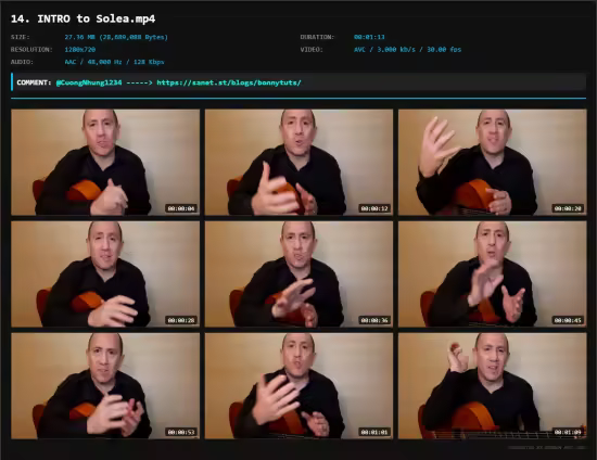Flamenco Guitar Beginner Rhythms: