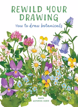 Rewild Your Drawing: How to draw botanicals