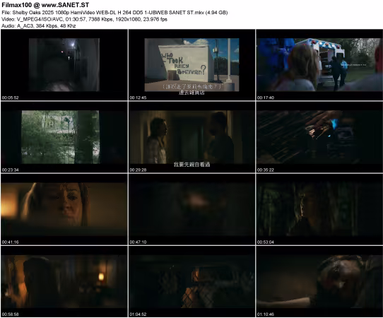 Shelby Oaks 2025 1080p HamiVideo WEB-DL H264 DD5.1-UBWEB