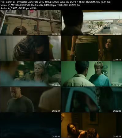 Terminator Dark Fate 2019 1080p AMZN WEB-DL DDP 5.1 H264-BLOOM