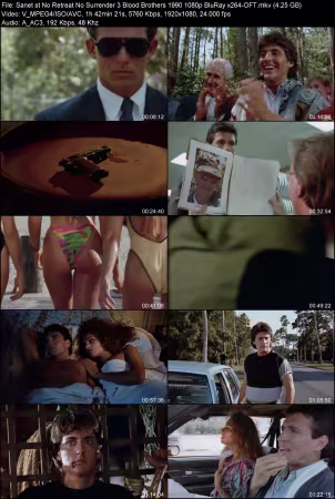No Retreat No Surrender 3 Blood Brothers 1990 1080p BluRay x264-OFT