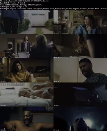 Euphoria US S03E07 2160p WEB DV HDR H265-Peaches