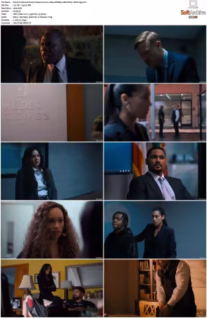 Nemesis 2026 S01 1080p WEBRip 10Bit DDP5.1 HEVC-d3g