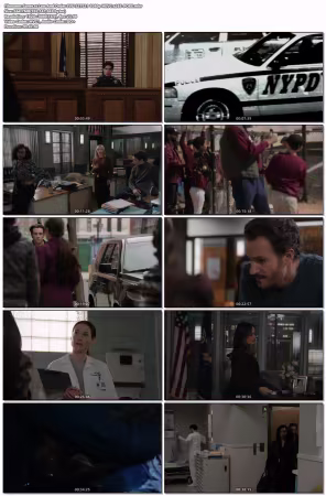 Law And Order SVU S27E21 1080p HEVC x265-POKE
