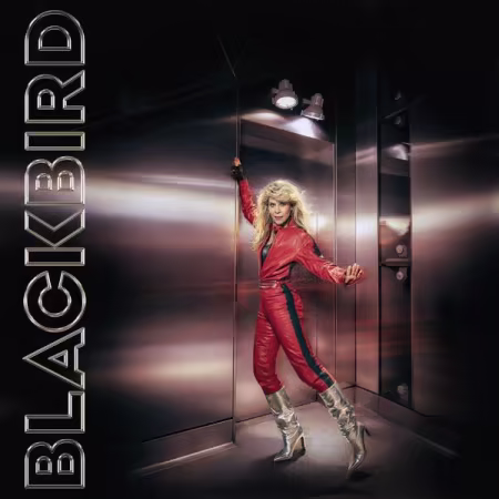 Blackbird - Do You Read Me!? (2026)