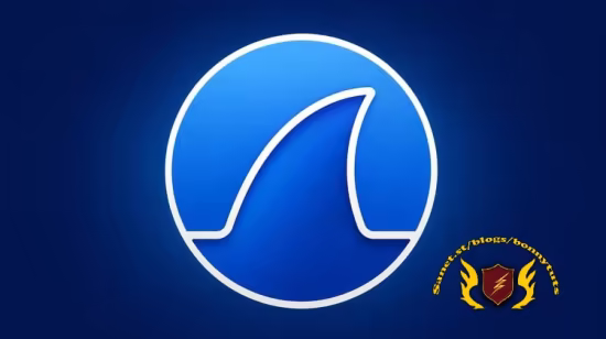 Threat Hunting with Wireshark: Network Analysis &amp; Security