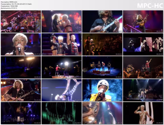 Pink: Funhouse Tour - Live in Australia [Blu-ray] (2009)