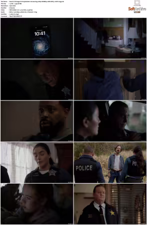 Chicago P D S13 1080p WEBRip 10Bit DDP5.1 HEVC-d3g