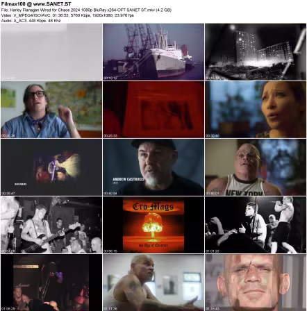 Harley Flanagan Wired for Chaos 2024 1080p BluRay x264-OFT