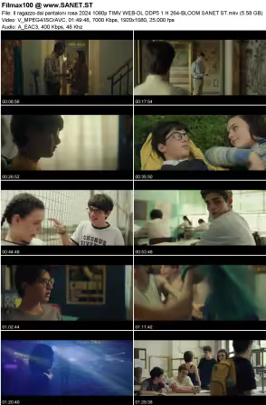 Il ragazzo dai pantaloni rosa 2024 1080p TIMV WEB-DL DDP5.1 H264-BLOOM