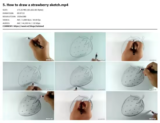 How to sketch fruit