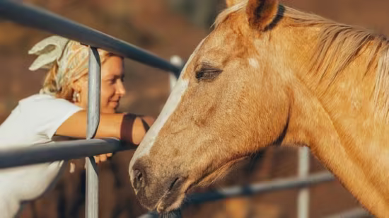 Intuitive Energy Healing: Humans and Horses