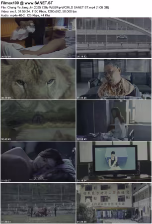 Chang Ye Jiang Jin 2025 720p WEBRip-WORLD