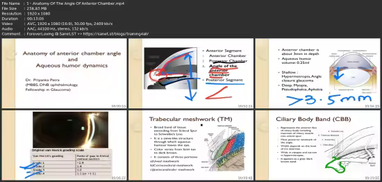 Ophthalmology Basics